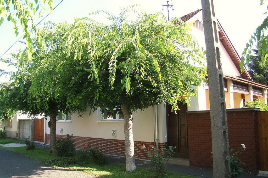Вилла Hajnal Apartman Дьюла Номер фото
